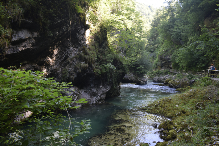 Per una Slovenia in camper nella natura la gola di vintgar è imperdibile , guarda le immagini 